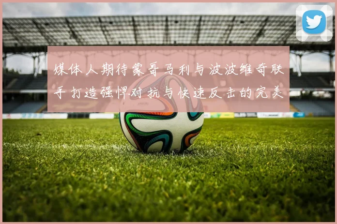 媒体人期待蒙哥马利与波波维奇联手打造强悍对抗与快速反击的完美结合