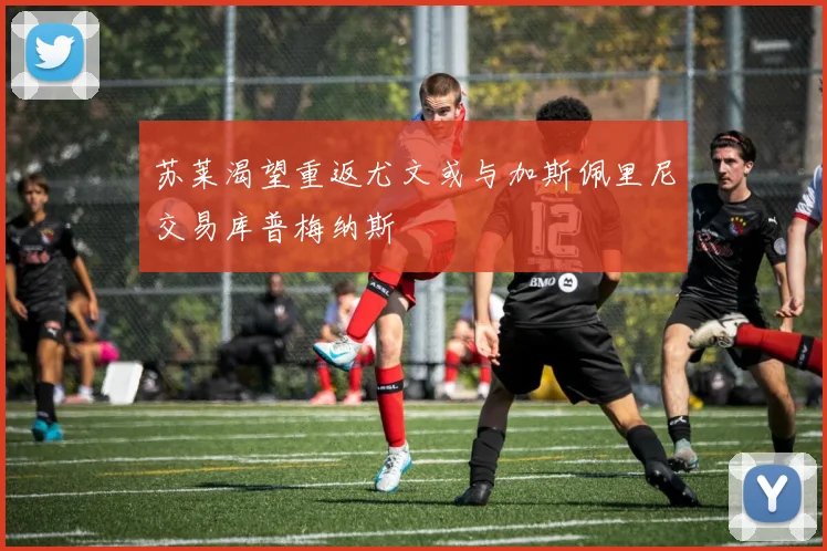 苏莱渴望重返尤文或与加斯佩里尼交易库普梅纳斯